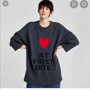 Zara Love at First Bite Sweater Size Large